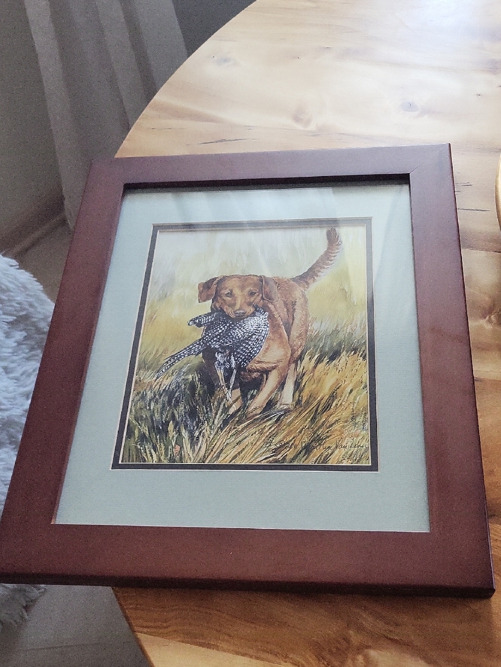 Framed Art Of Dog And Bird